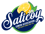 saticoy-logo